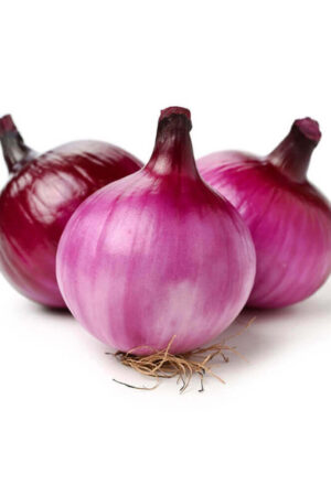 Fresh Red Onion, 3-5 per Pack ~ 1000g