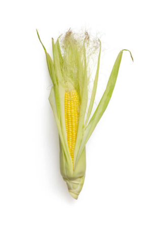 Organic Corn Bio 1