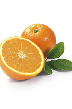 Fresh Oranges (for juice) 1 kg